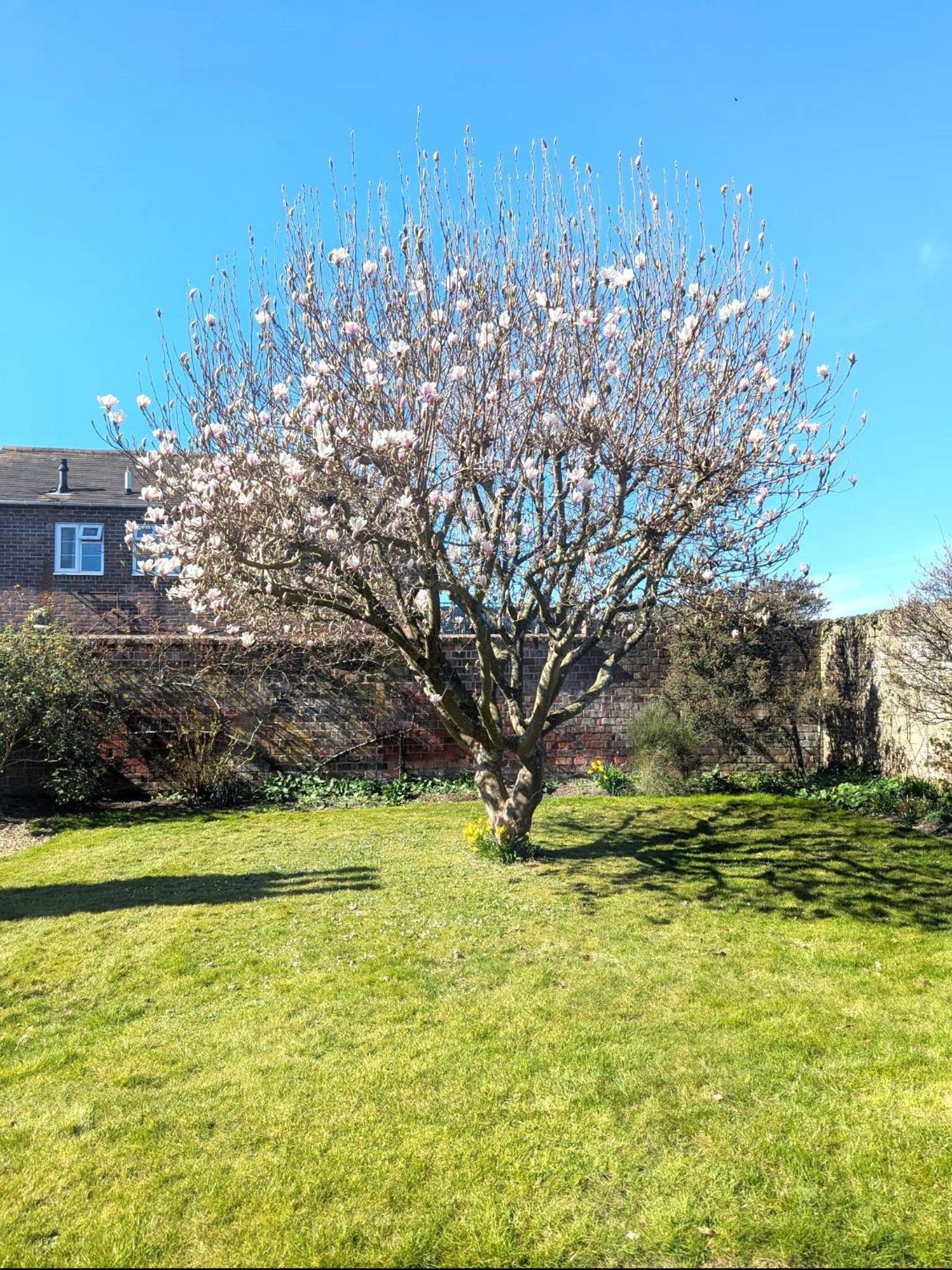 Georgian 2 Bedroom Apartment In Chichester With Free Parking - Chichester Holiday Properties Esterno foto